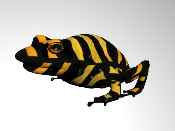 frog poisonous darts 3d fbx