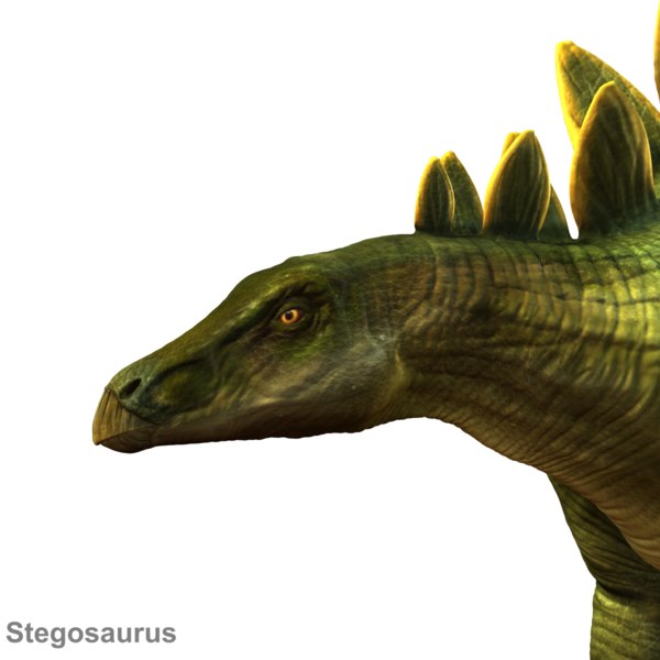 stegosaurus for 1