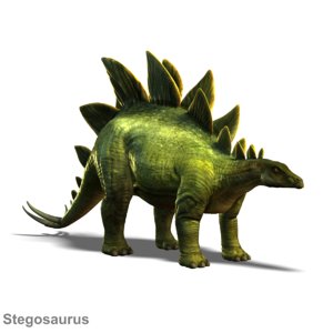 3d stegosaurus