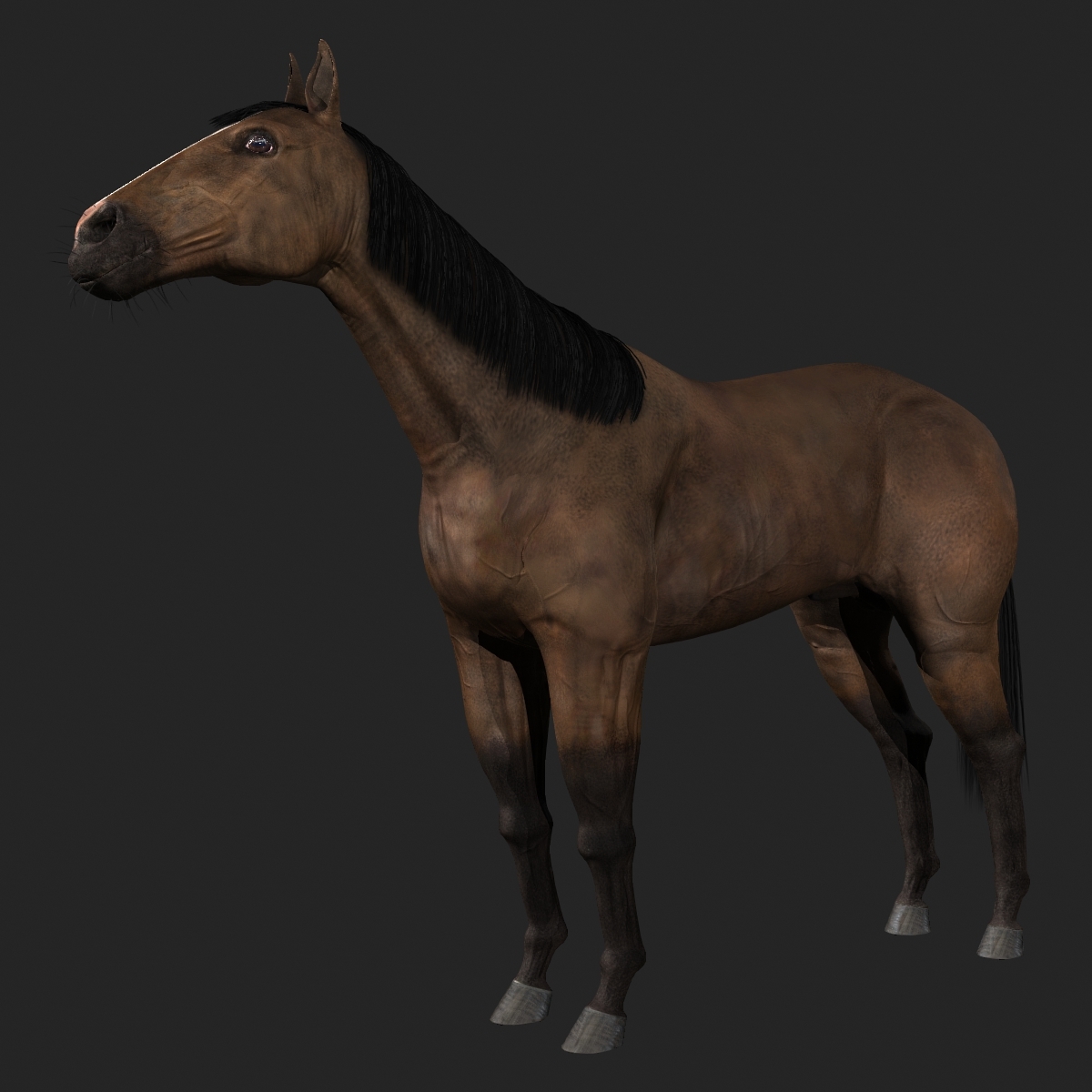 3d model of horse rig