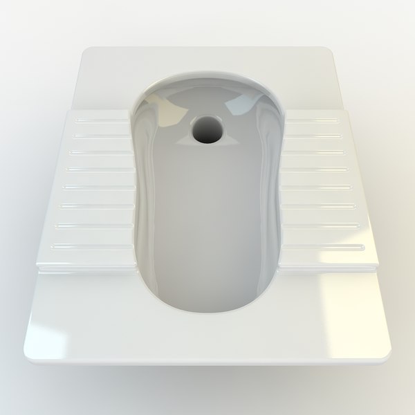 3d realistic squat toilet