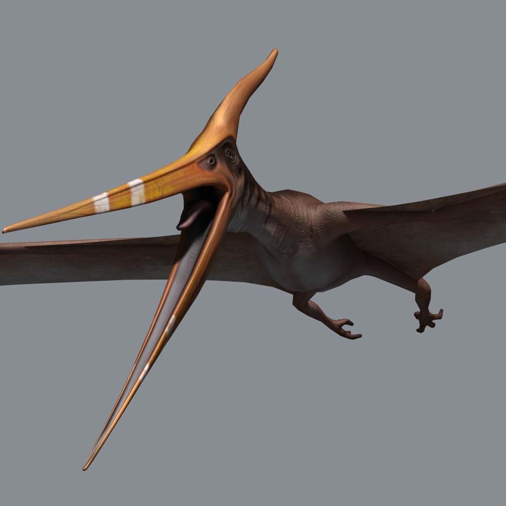 pterodáctilo e pteranodon