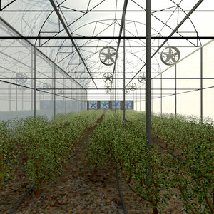 3d greenhouse plants fans model