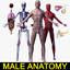 max human male female body