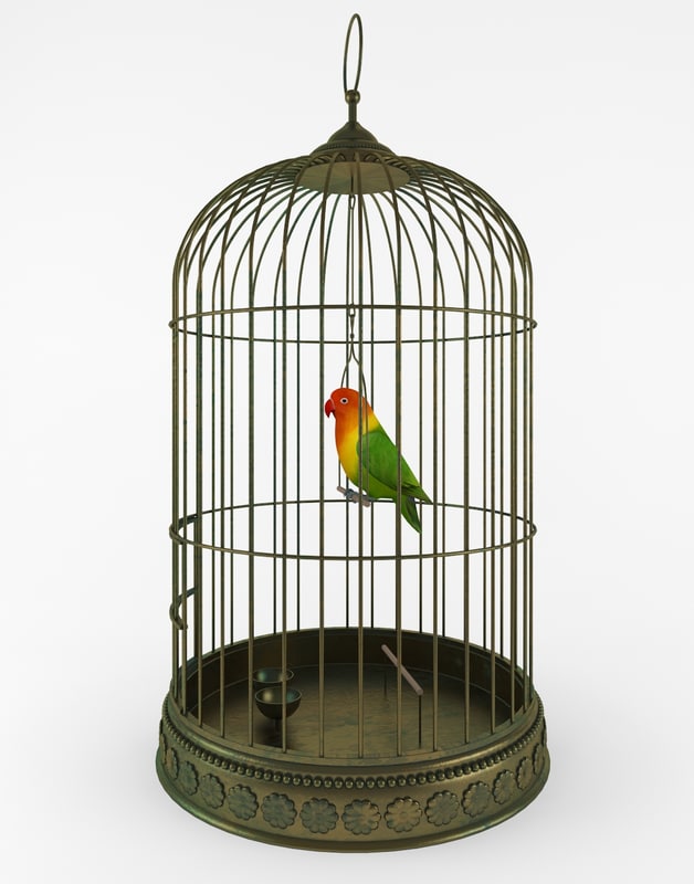 bird cage 3d model