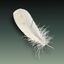 max realistic bird feather
