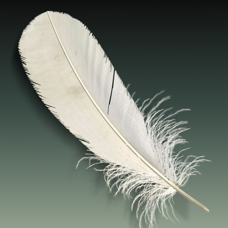 feather obj file download