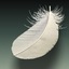 max realistic bird feather
