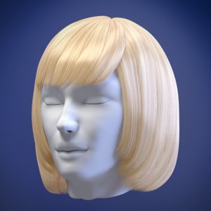 woman hair 3d model