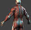 realistic anatomy muscles bones max