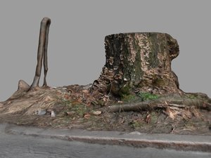 3d tree stump street