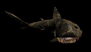 fossils shark obj free