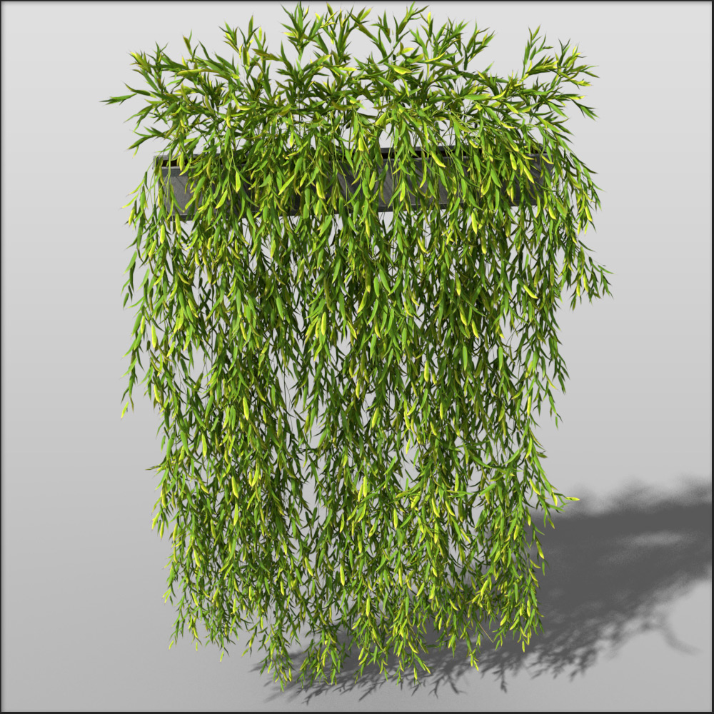 c4d hanging bamboo