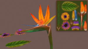 3d birds paradise flowers model