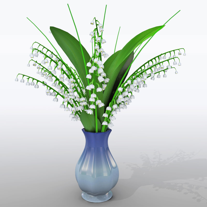 3d lily vase
