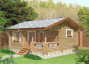 3d log house