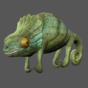 3d chameleon reptile lizard model