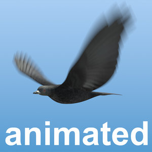 bird flock animation 3d 3ds