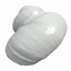sea shell 3d model