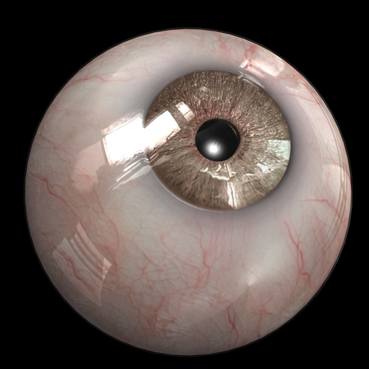 realistic eye 3d model