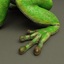frogs v3 lwo