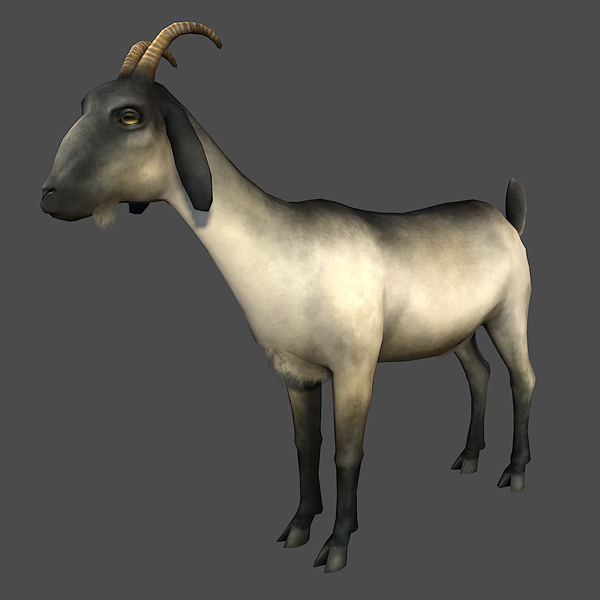 Goat 3D Models For Download | TurboSquid