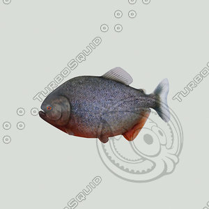 piranha 3d model