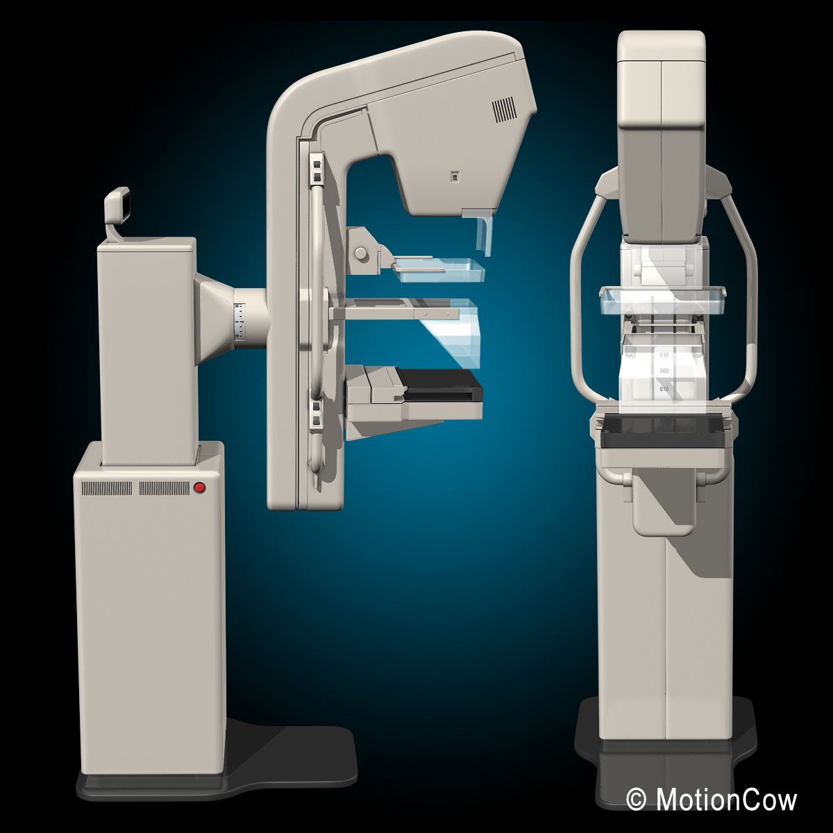 3d Model Mammography Mammogram