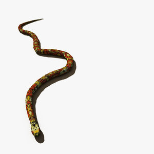garter snake max