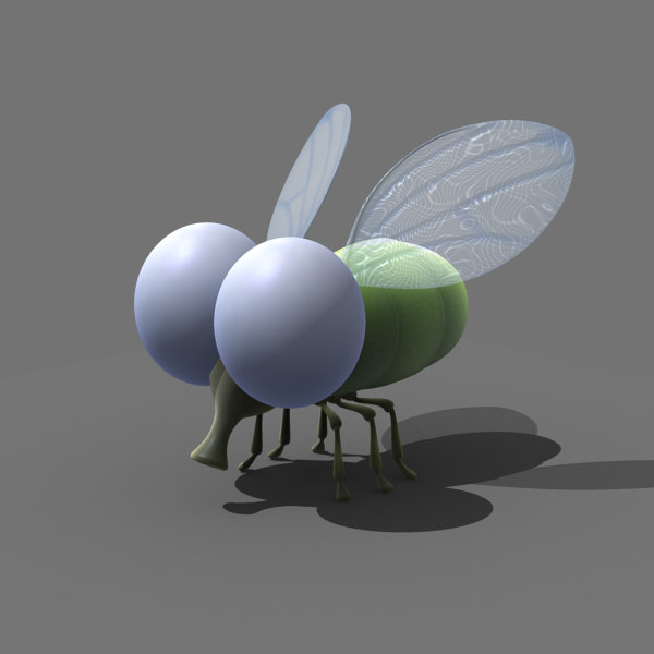 House fly model House fly model