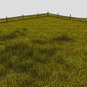 3dsmax grass field