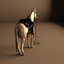 3d horse model