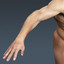 3d rigged human male body model