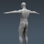 3d rigged human male body model