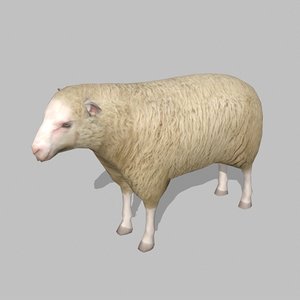 sheep uv max