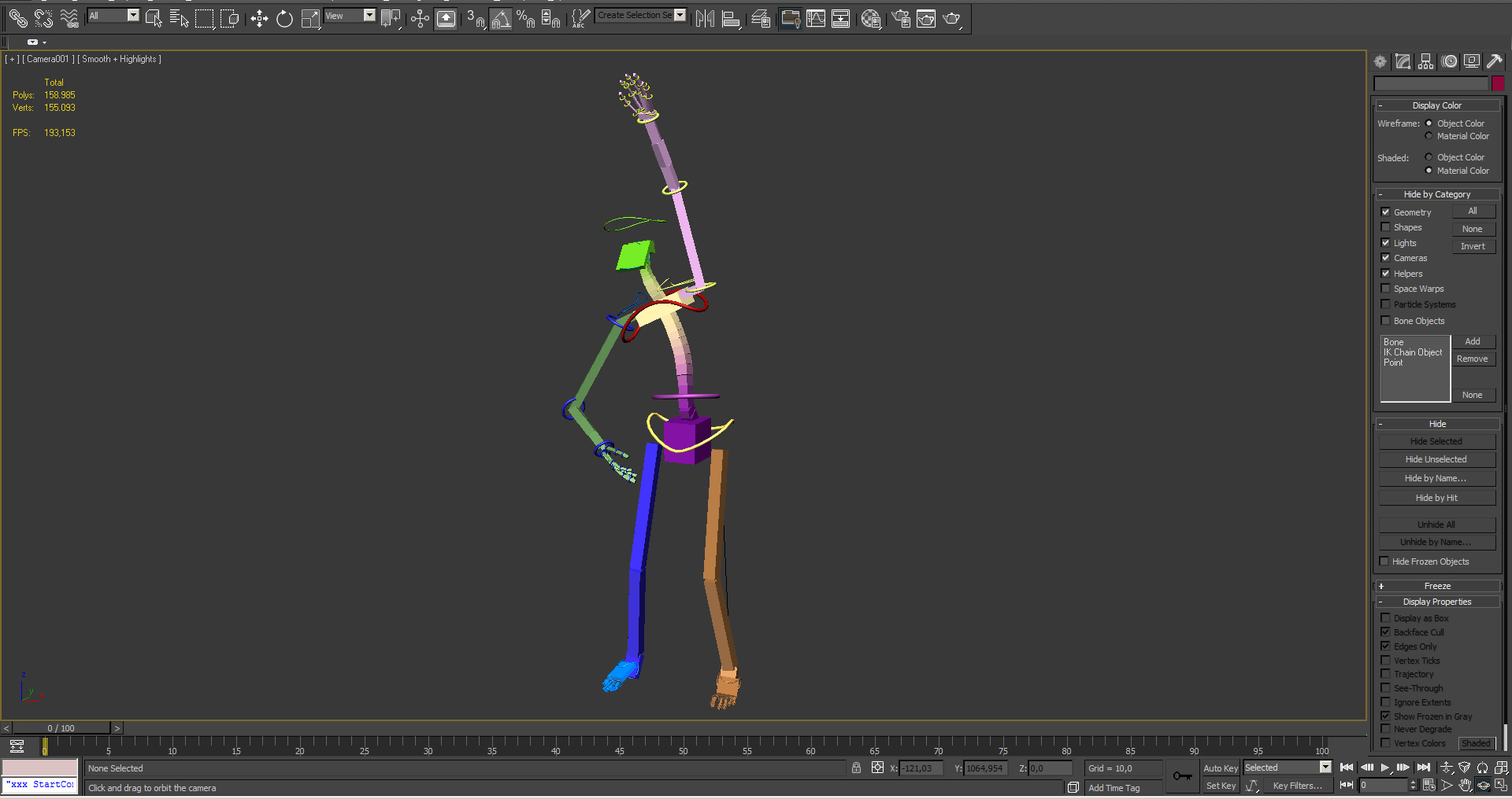 human skeleton 3d model