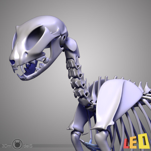 skeleton cat statue