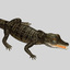 baby crocodile 3d model