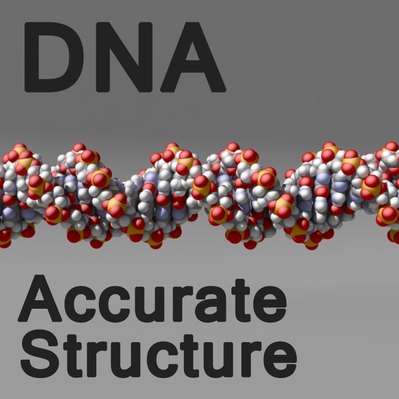 Dna Molecule 3d Model