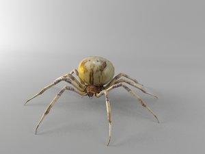 3d model orb spider shamrock