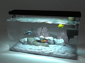 marine aquarium 3d max
