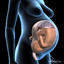 3d obj pregnant woman fetus uterus