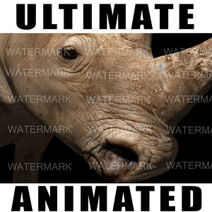 ultimate rhino 3d obj
