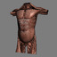 human male torso anatomy muscles 3d model
