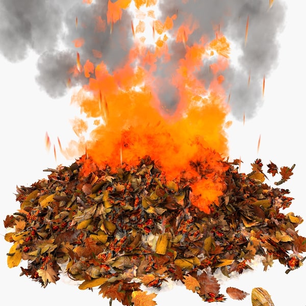 smoke leaves pile 3d model