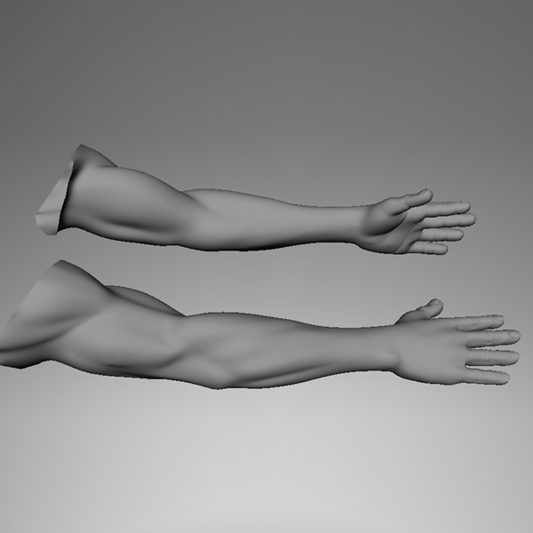 realistic human arm 3d model