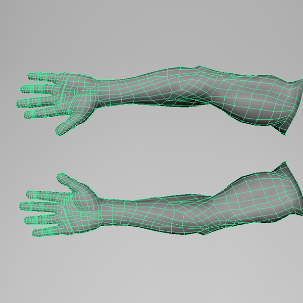 realistic human arm 3d model