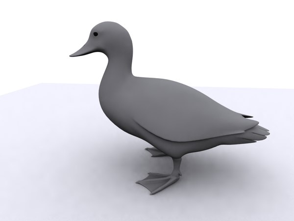 3d model duck