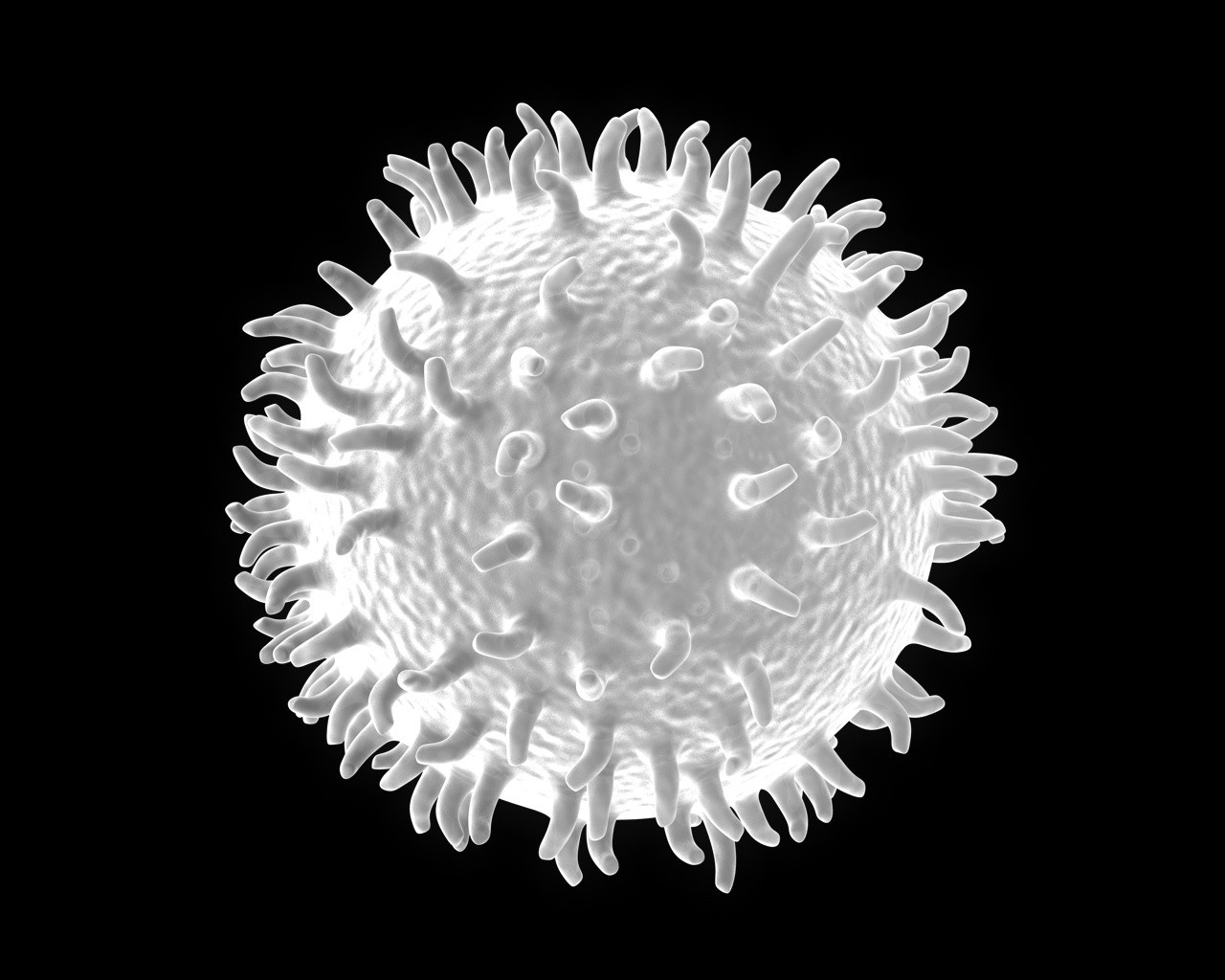 lymphocyte-3d-model