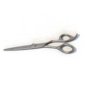 scissors solon barber 3d model